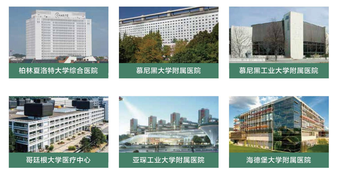 微信图片_20260302111525_476_29.png
