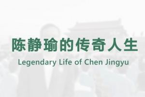 Legendary Life of Chen Jingyu
