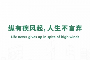 Life never gives up in spite of high winds