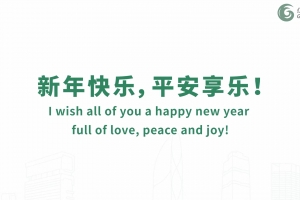 I wish all of you a happy new year full of love, peace and joy!