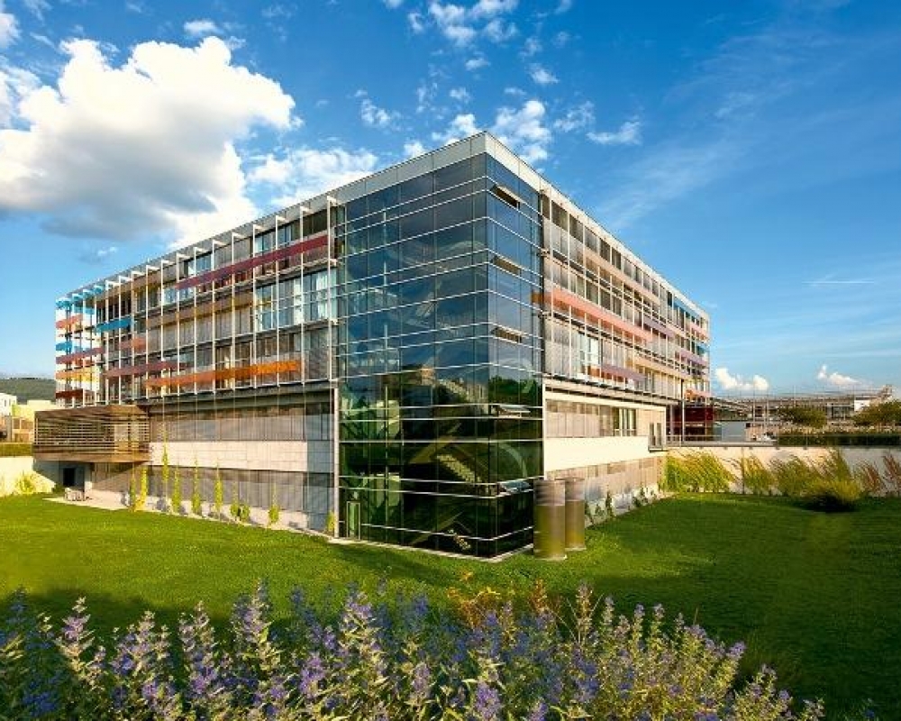 Universitätsklinikum Heidelberg