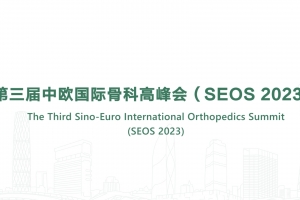 The Third Sino-Euro International Orthopedics Summit (SEOS 2023)