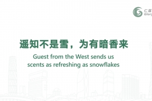 遥知不是雪，为有暗香来