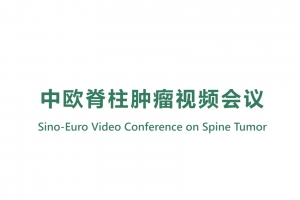 Sino-Euro Video Conference on Spine Tumor