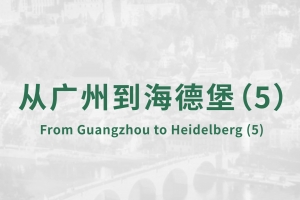 从广州到海德堡(5)